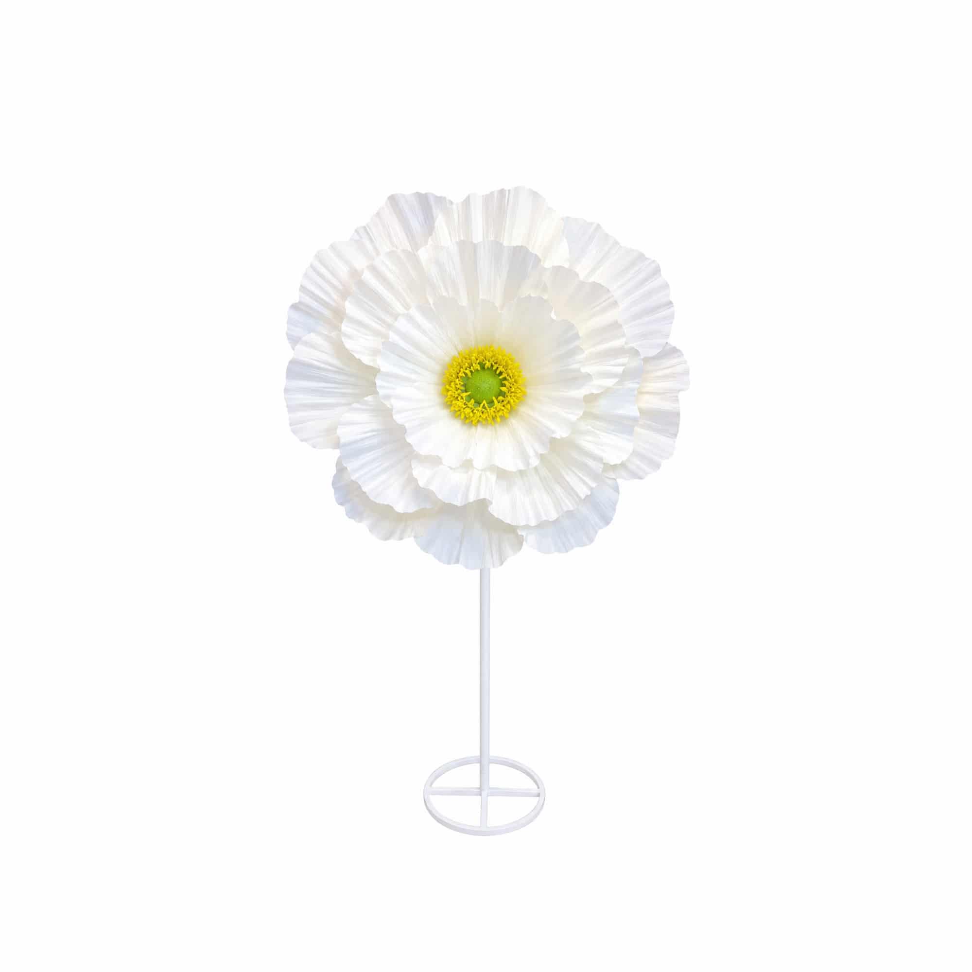 Amapola de papel blanco