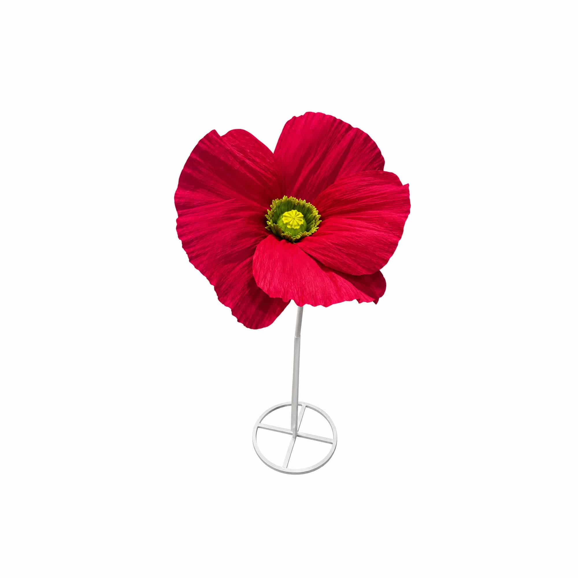 Amapola de papel fuscia