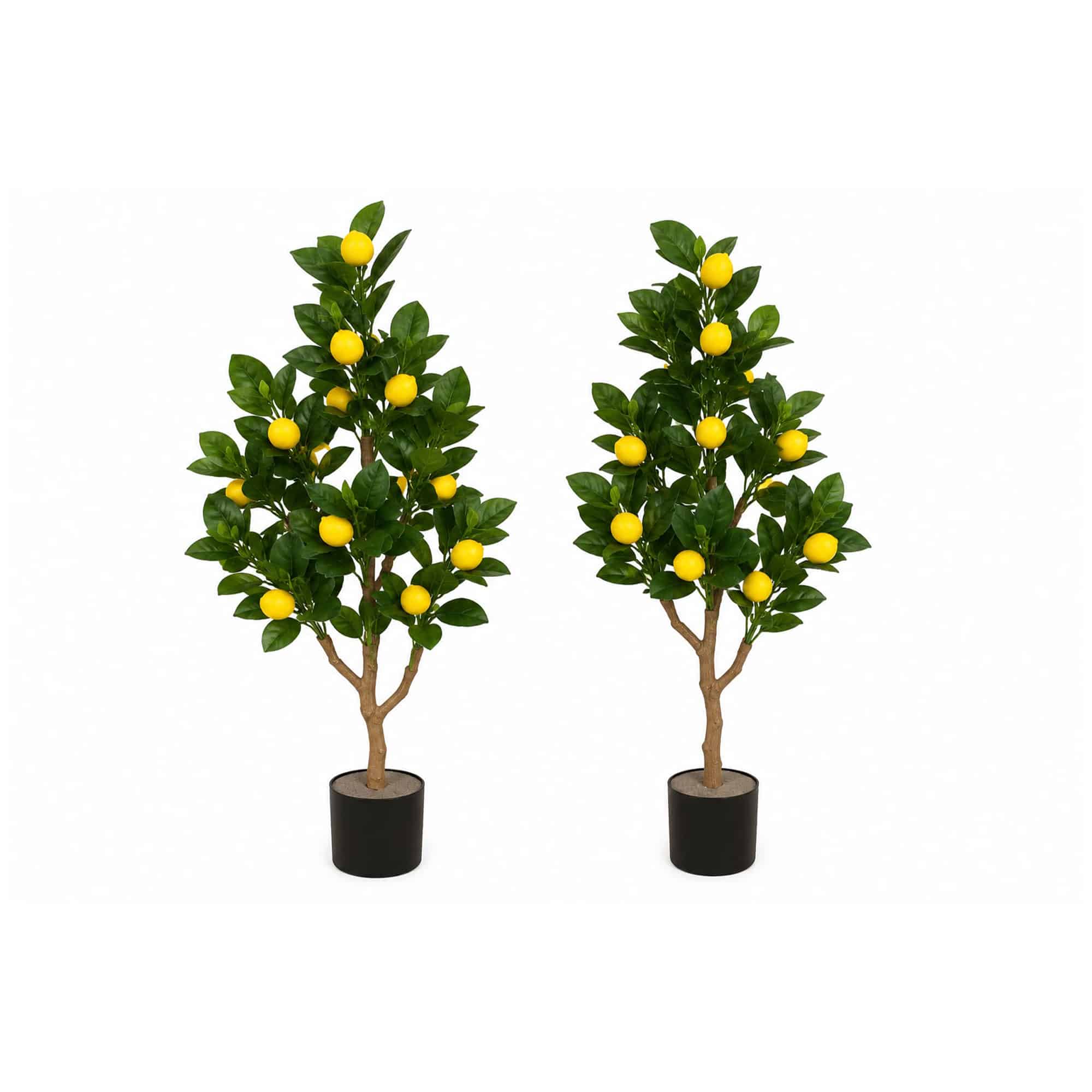 Árbol chico de limones (2 und)