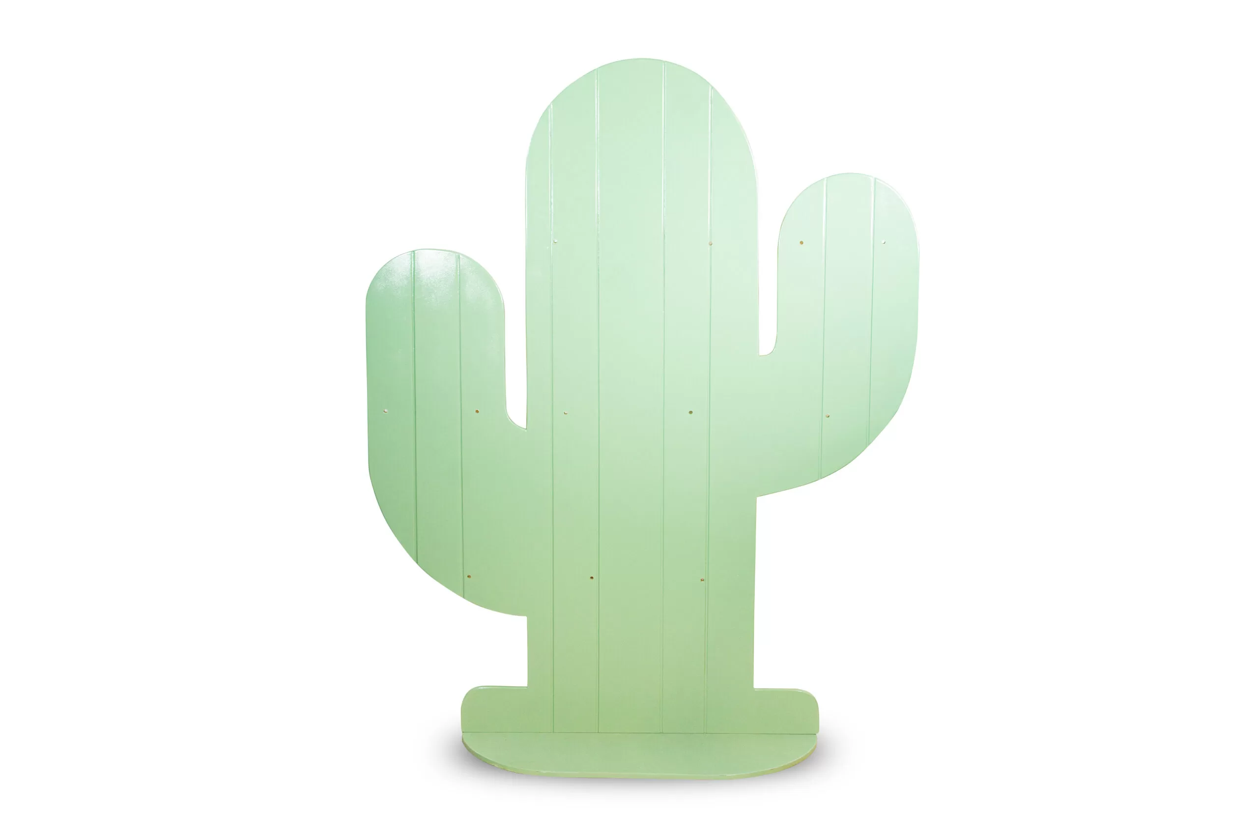 Cactus Repisa