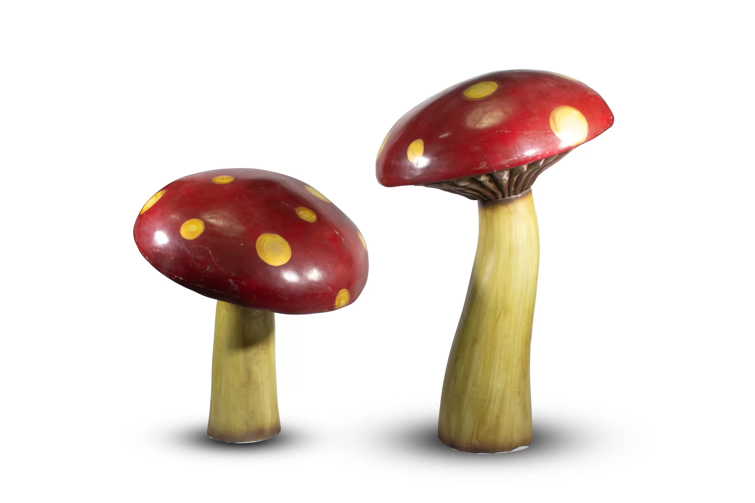 Set de dos Hongos (2 juegos)