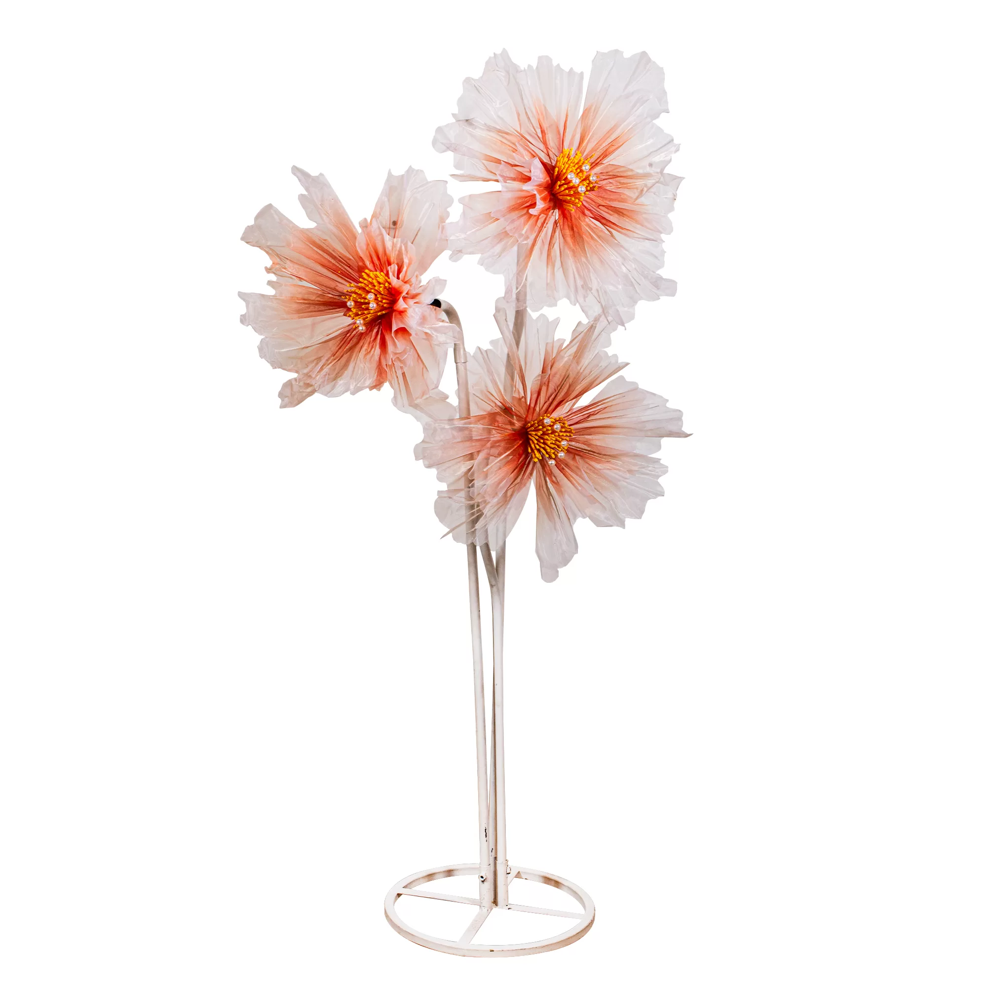 Flor coral
